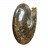 Ammonite cleoniceras  - Madagascar - la pièce