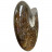 Ammonite cleoniceras  - Madagascar - Pièce unique - 202104_05