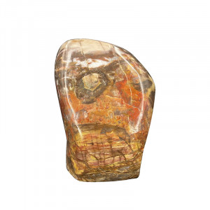 Bois fossile - forme libre - Pièce unique - 202203_119