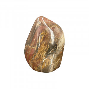 Bois fossile - forme libre - Pièce unique - 202203_120