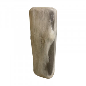 Tronc Bois fossile - Indonésie - Pièce unique - 202203_49