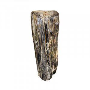 Tronc Bois fossile - Indonésie - Pièce unique - 202203_51