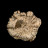 Tronc Bois fossile - Madagascar - Pièce unique - 202203_65