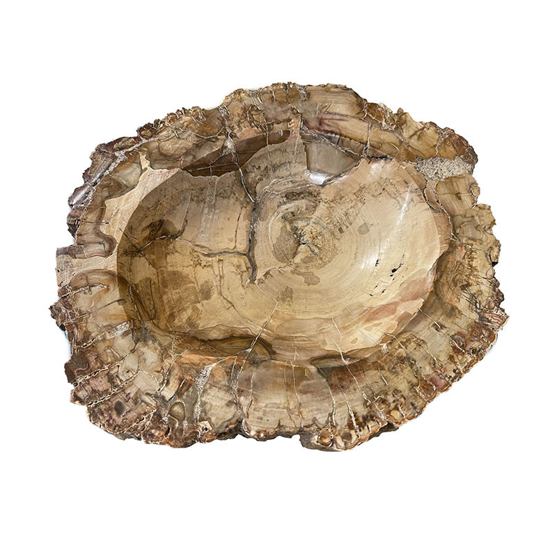 Vasque bois fossile - Madagascar - la pièce