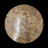 Plateau de table Ammonite - Pièce unique - 202211_45