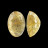 Pierre taillée ovale - Quartz rutile - Pièce unique - 202302_74