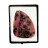 Cabochon - Rhodonite - Pièce unique - 202302_83