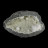 Okenite - Inde - Pièce unique - 202304_15
