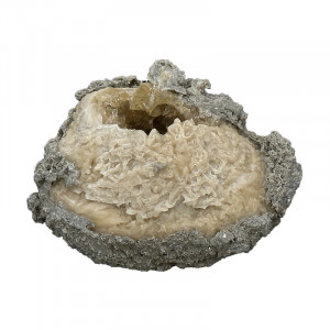 Fossile Clams sur Calcite - Pièce unique - 202304_42