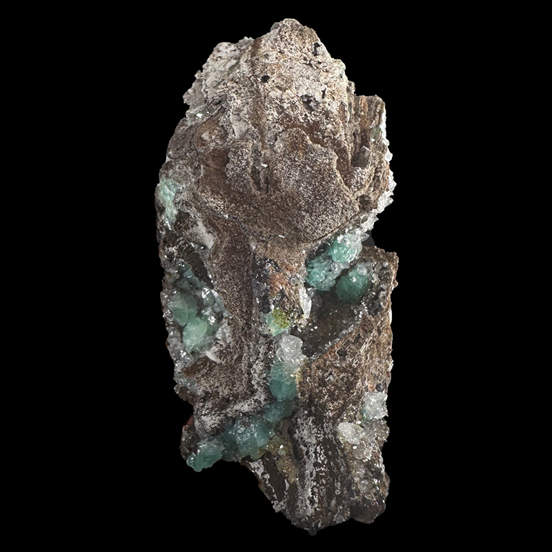 Cupro Adamite - Pièce unique - 202310_13