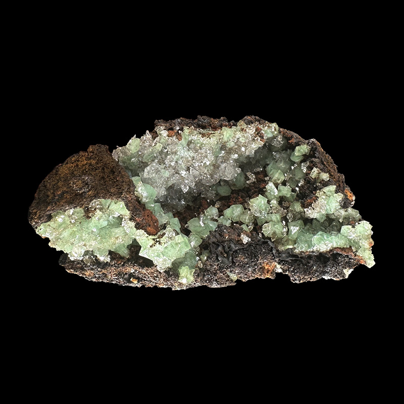 Cupro Adamite - Pièce unique - 202310_16