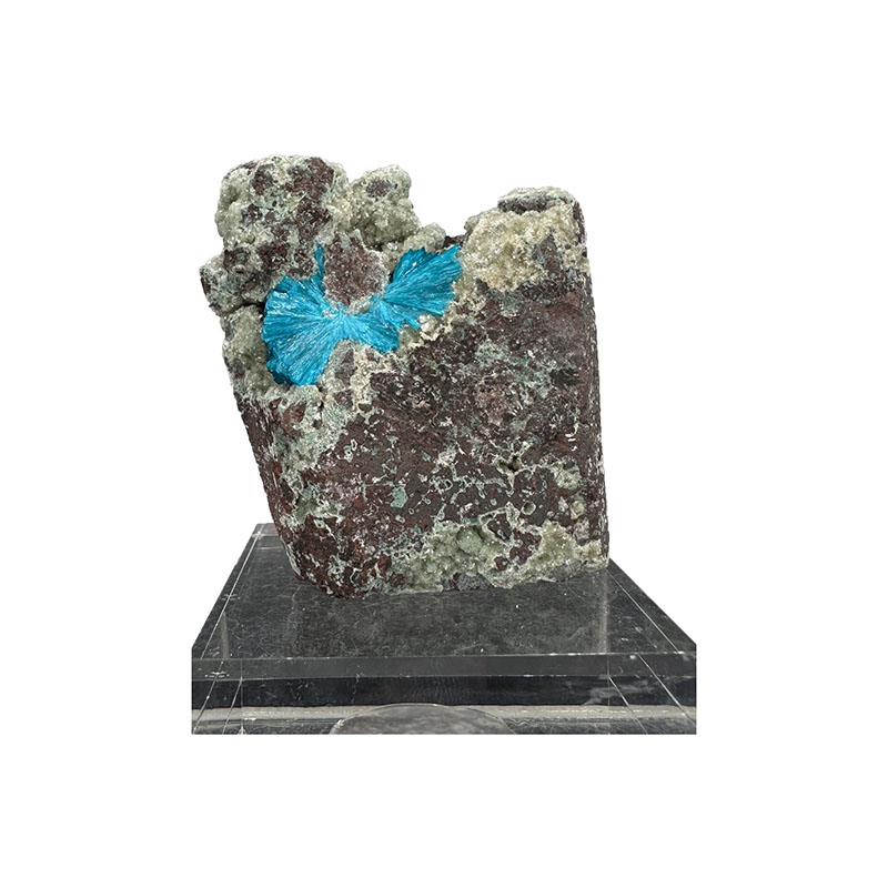 Cavansite - Pièce unique - 202402_69