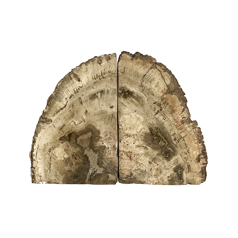 Serre livre bois fossile - Pièce unique - 202502_217