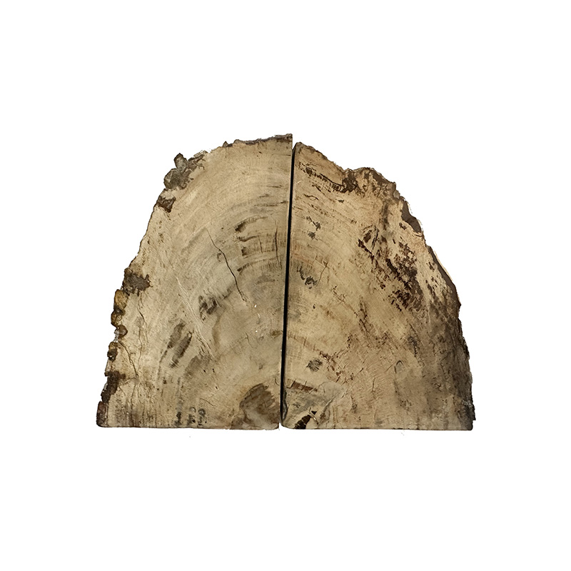 Serre livre bois fossile - Pièce unique - 202502_220