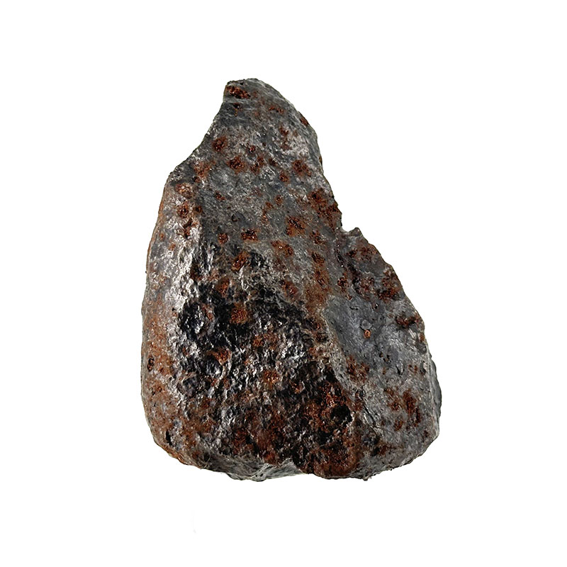 Meteorite chondrite - Pièce unique - 202509_228