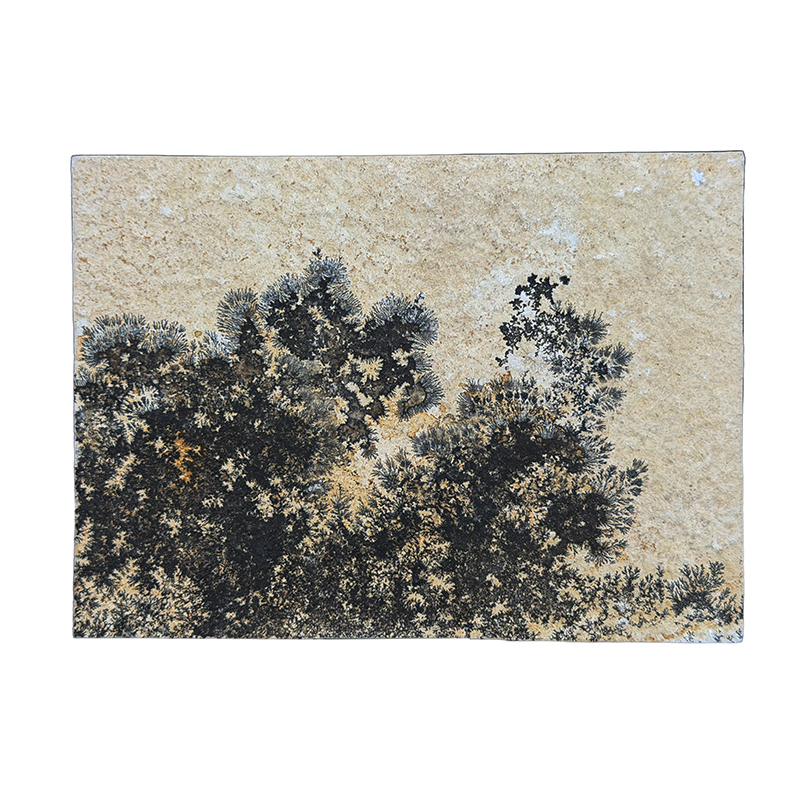 Plaque dendrite - Pièce unique - 202602_100