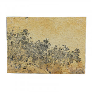 Plaque dendrite - Pièce unique - 202602_98