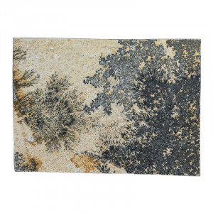 Plaque dendrite - Pièce unique - 202602_99