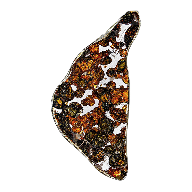 Météorite Pallasite Plaque - Pièce unique - 202608_150
