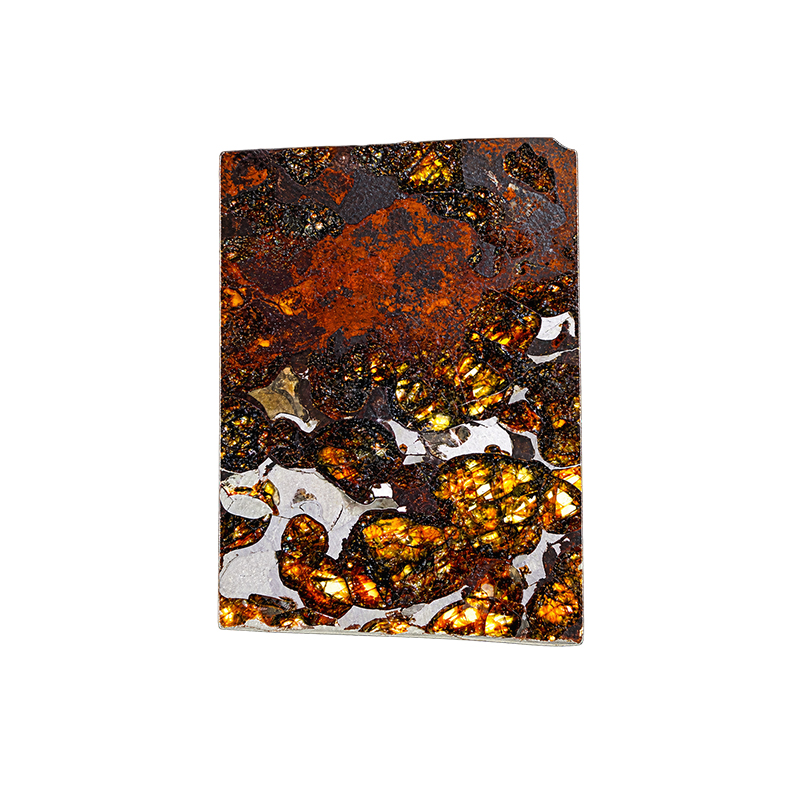 Météorite Pallasite Plaque - Pièce unique - 202608_151