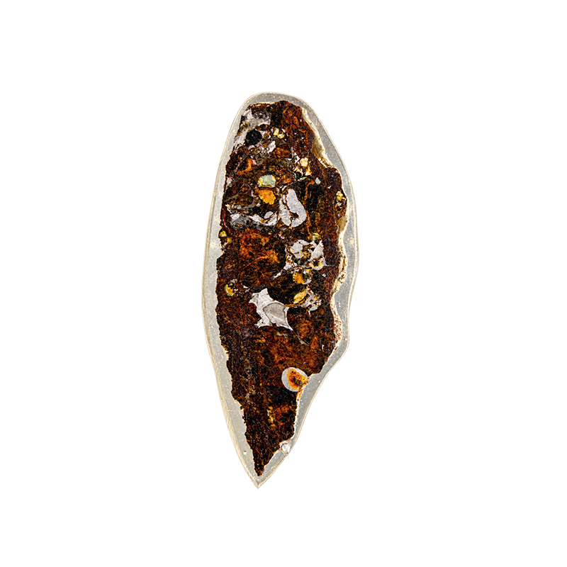 Météorite Pallasite Plaque - Pièce unique - 202608_159