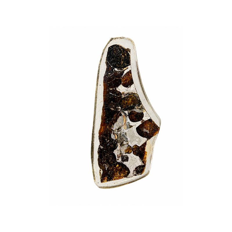 Météorite Pallasite Plaque - Pièce unique - 202608_161