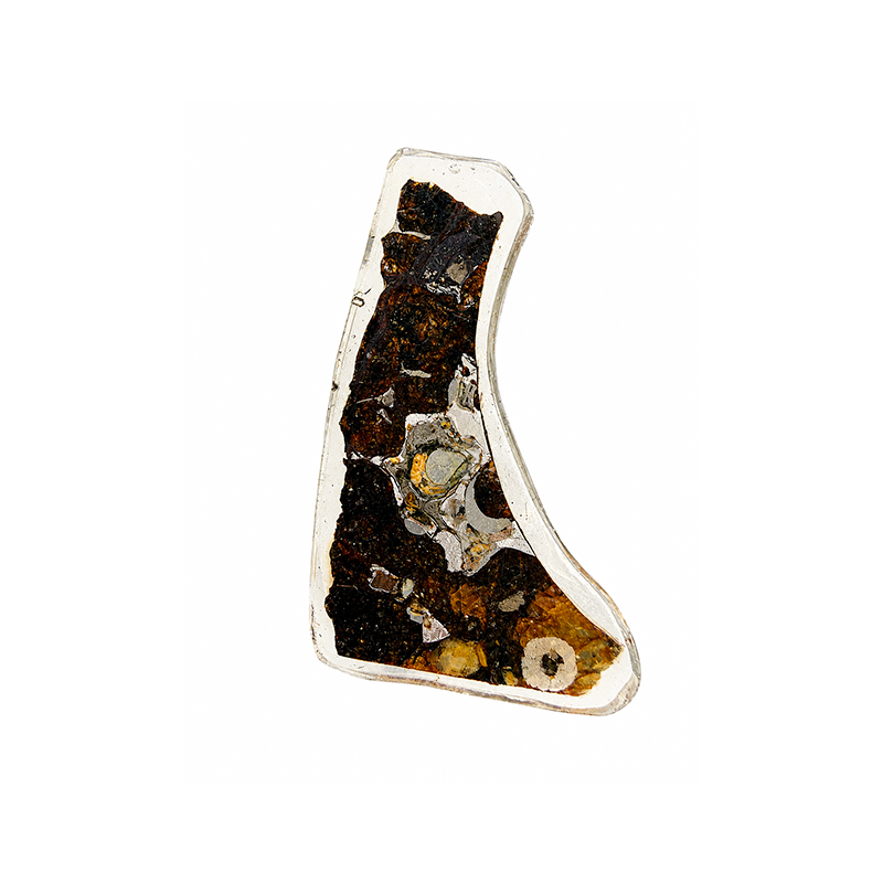 Météorite Pallasite Plaque - Pièce unique - 202608_162