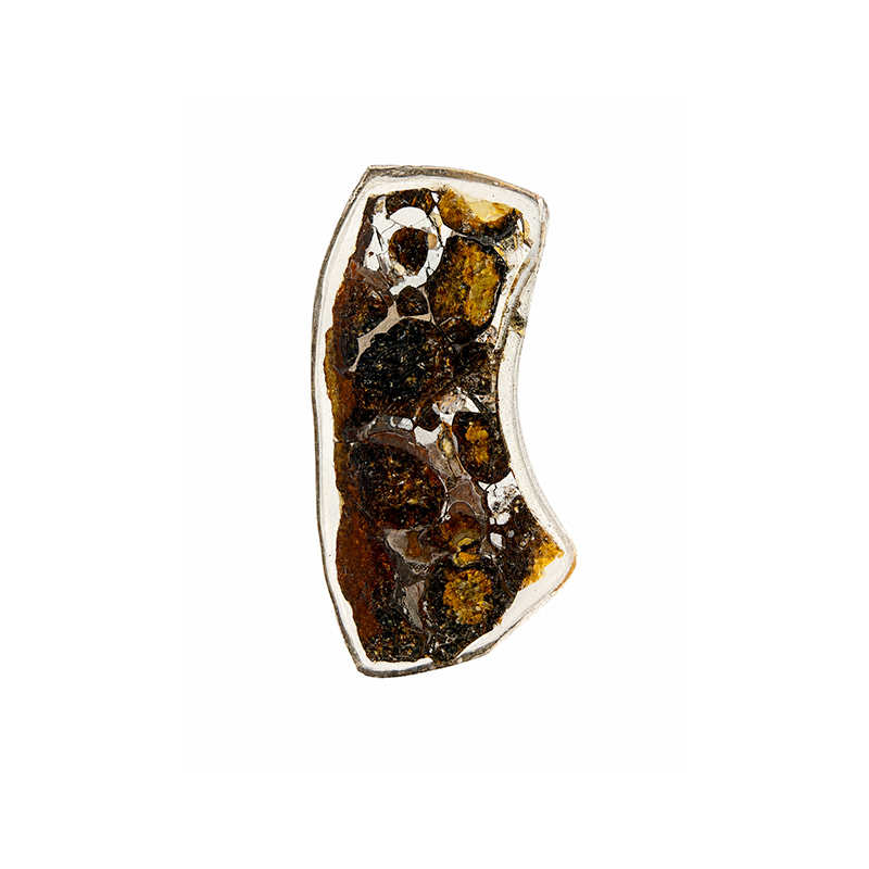 Météorite Pallasite Plaque - Pièce unique - 202608_163
