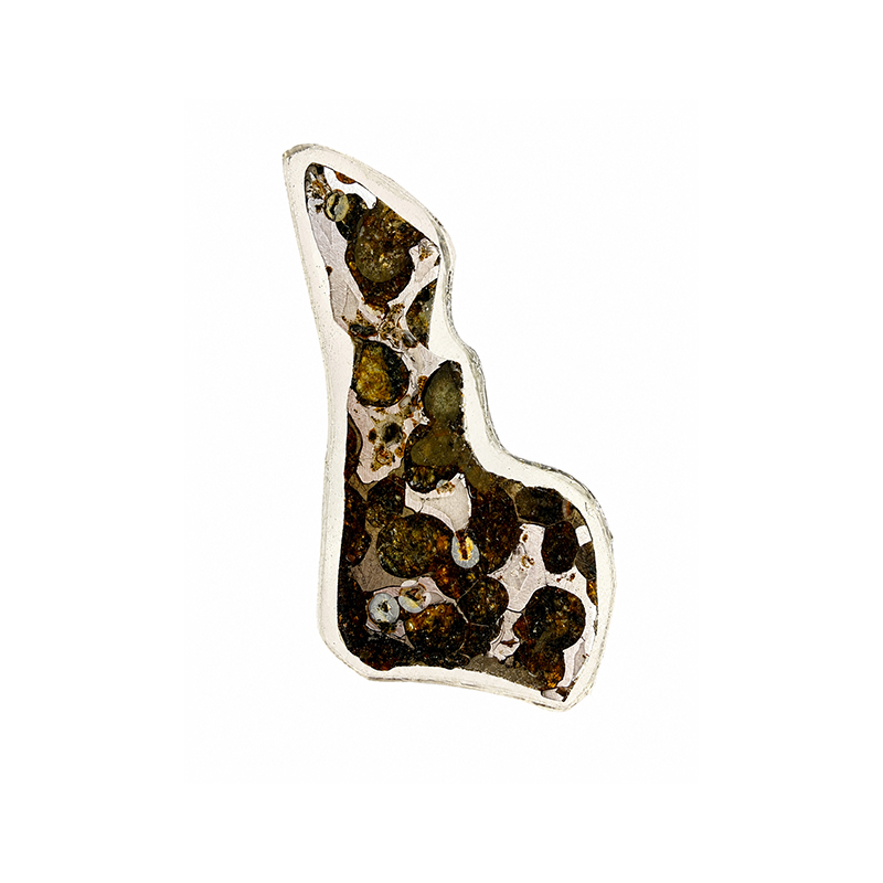 Météorite Pallasite Plaque - Pièce unique - 202608_164