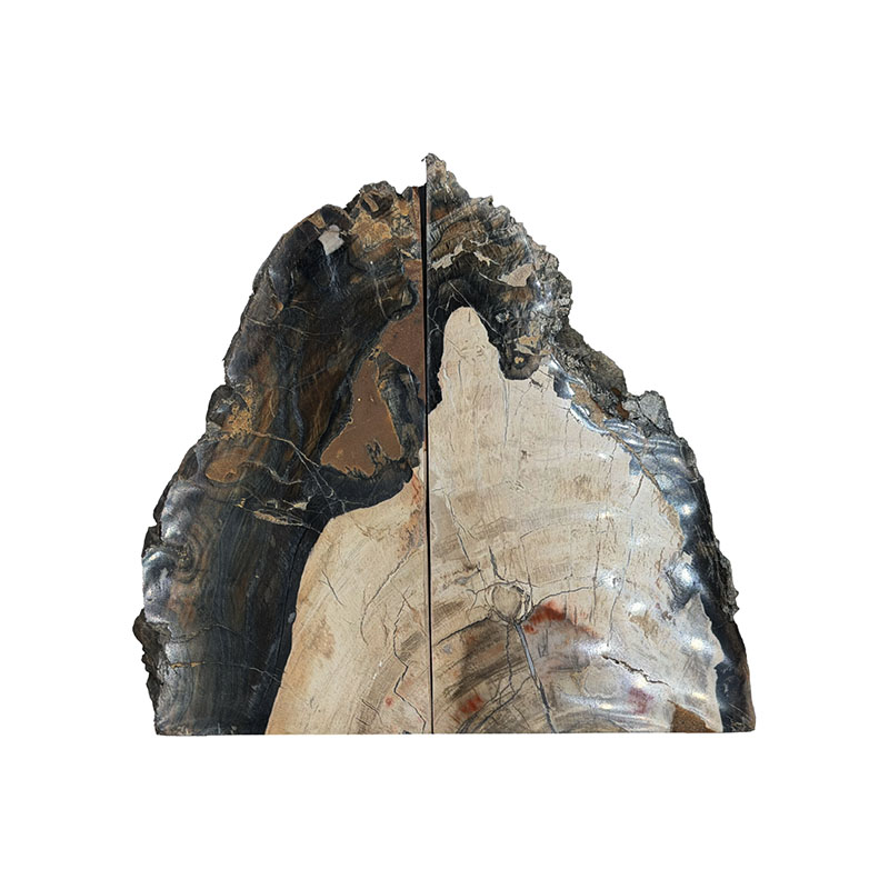 Serre livre bois fossile - Pièce unique - 202608_77