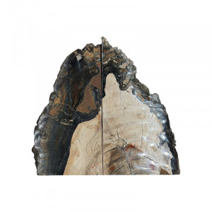 Serre livre bois fossile - Pièce unique - 202608_77