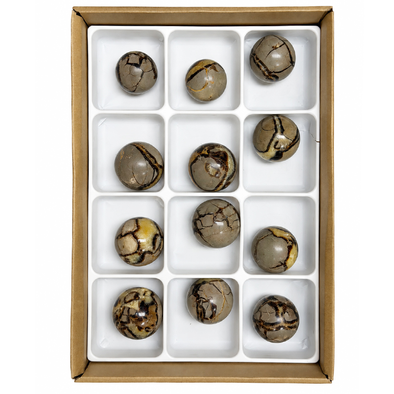 Lot de 12 Sphères en Septaria - pièce unique - 202609_102