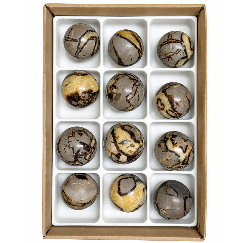 Lot de 12 Sphères en Septaria - pièce unique - 202609_103