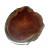 Agate Fine - env. 15.5 cm (Taille 7) - La pièce - Qualité B