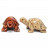 Animaux en pierre des Andes – 55 mm – Lot de 5 pièces