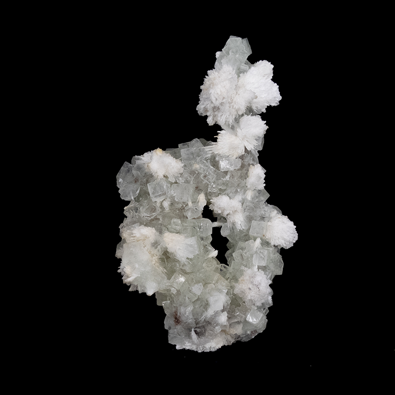 Apophyllite et Mordenite - Inde - Pièce unique - APOPMI300