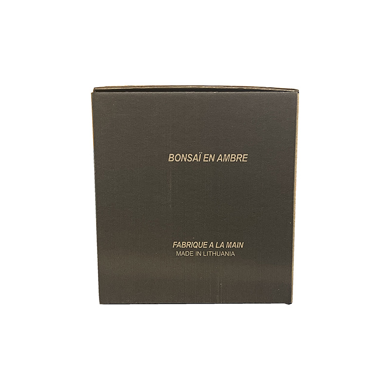 Bonsaï Ambre de la baltique