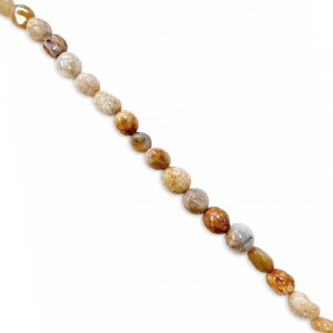 Collier corail fossile grains