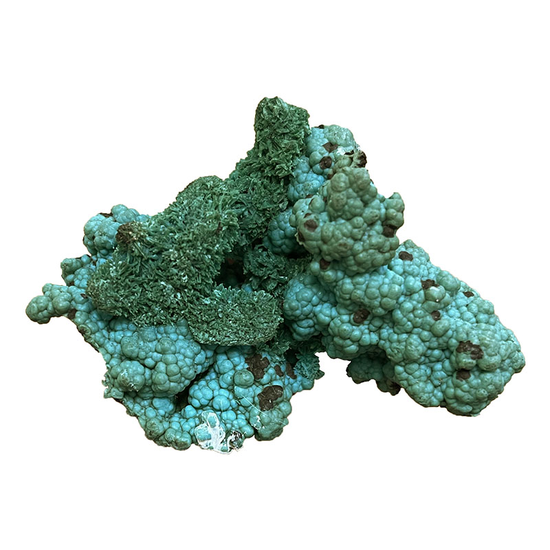 Pseudomorphose d'Azurite Chrysocolle - Congo - Pièce unique - CHRCO190