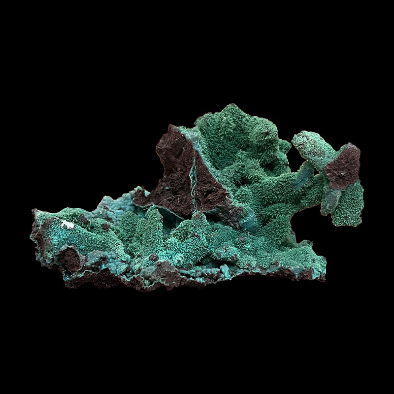 Pseudomorphose d'Azurite Chrysocolle - Congo - Pièce unique - CHRCO330