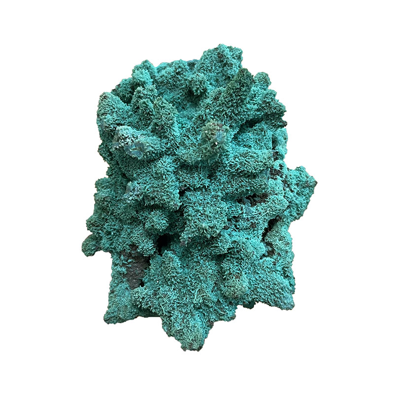 Pseudomorphose d'Azurite Chrysocolle - Congo - Pièce unique - CHRCO360