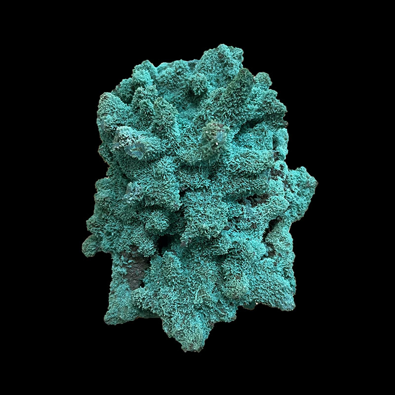 Pseudomorphose d'Azurite Chrysocolle - Congo - Pièce unique - CHRCO360