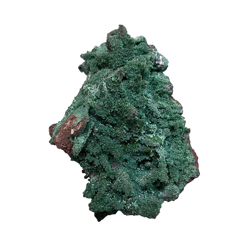 Pseudomorphose d'Azurite Chrysocolle - Congo - Pièce unique - CHRCO370