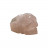 Crâne pointe Quartz rose