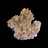 Creedite - Mexique - Pièce unique - CREE140