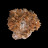 Creedite - Mexique - Pièce unique - CREE160