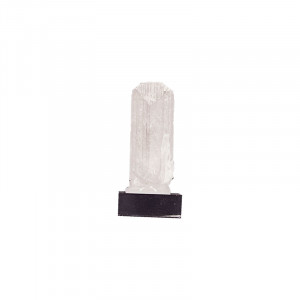 Danburite - Mexique - Pièce unique - DAM8