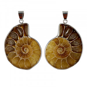 Pendentif Ammonite - La Paire