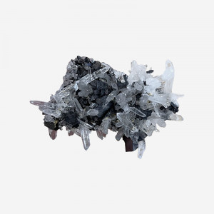 Association d'Hubnérite et Quartz - Pérou - Pièce unique - HUB120