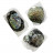 Lot de 4 colliers Pawa shell